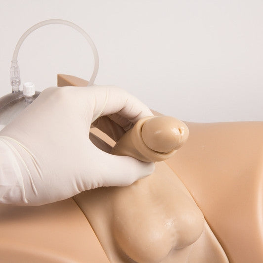 Male & Female Catheterisation Trainer Henri / Florence