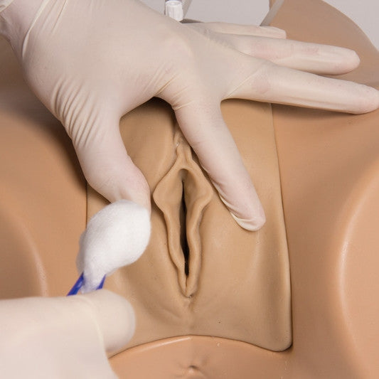 Male & Female Catheterisation Trainer Henri / Florence