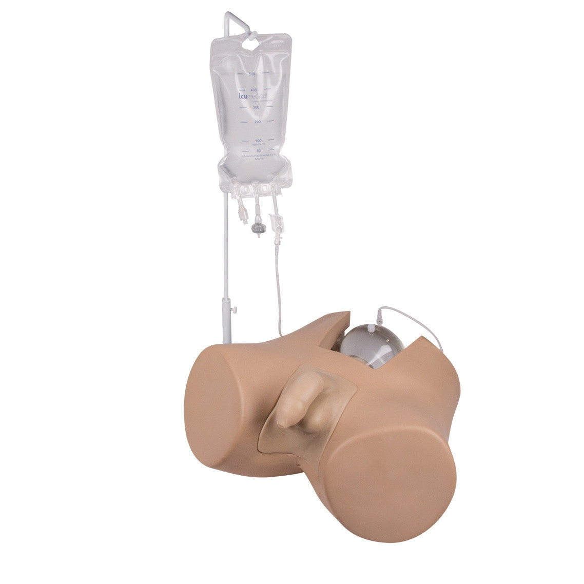 Bladder Catheterisation Simulator Henri