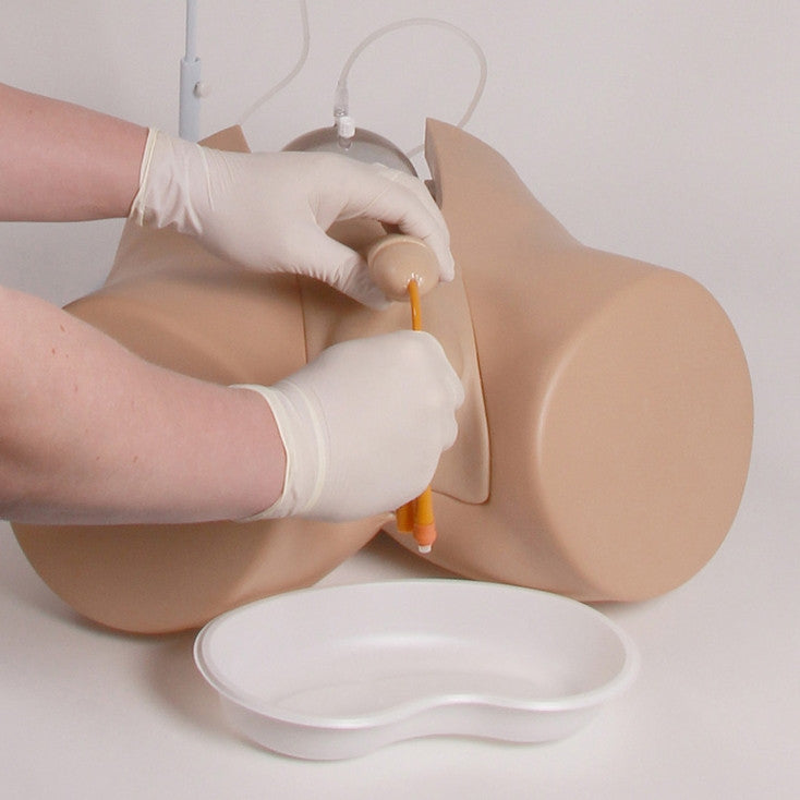 Bladder Catheterisation Simulator Henri
