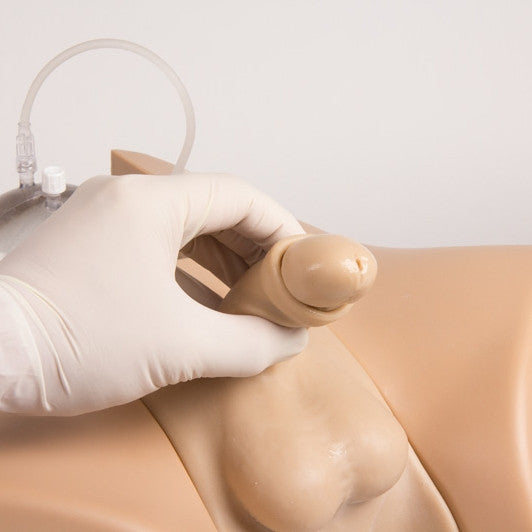 Bladder Catheterisation Simulator Henri