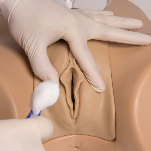 Bladder Catheterisation Simulator Florence