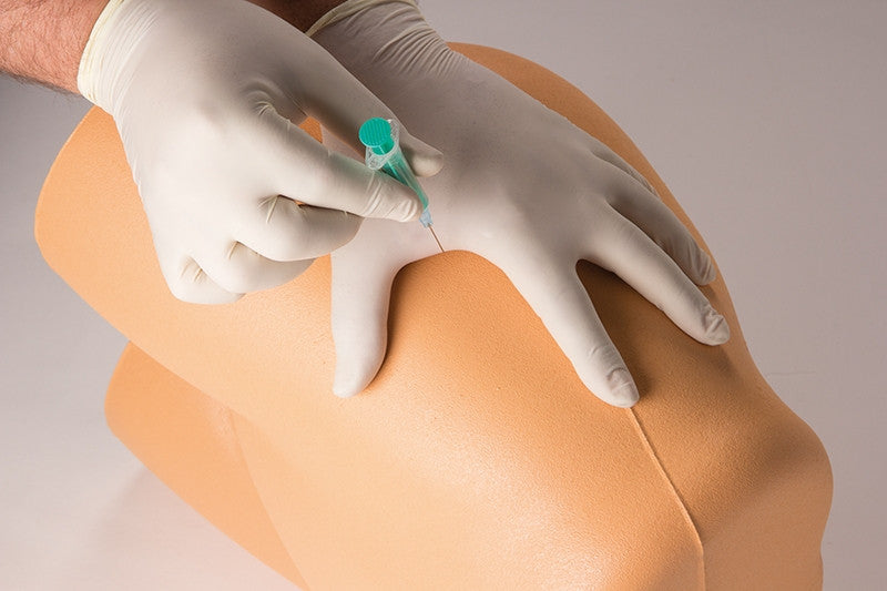 IM Injection and Punch Biopsy Training Model