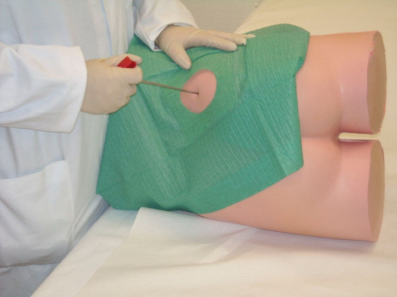 IM Injection and Punch Biopsy Training Model