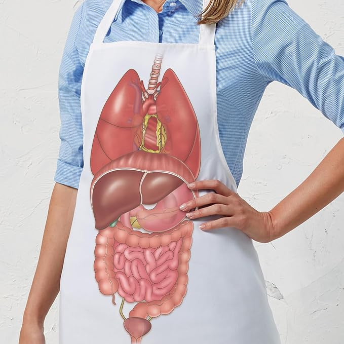 Internal Organs Apron