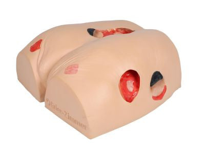 "Decubitus Dan" Care and Dressing Simulator