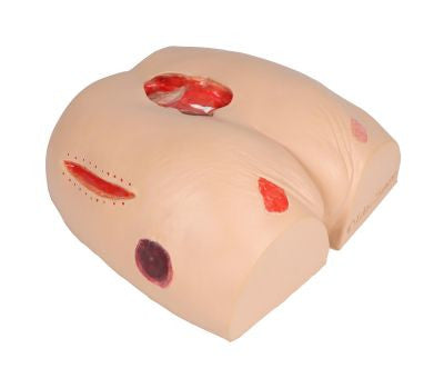 Left Side of the "Decubitus Dan" Care and Dressing Simulator