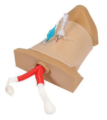 "Crico Chris" Cricothyrotomy Task Trainer