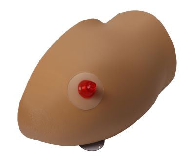 Amy Arm Intraosseous Task Trainer