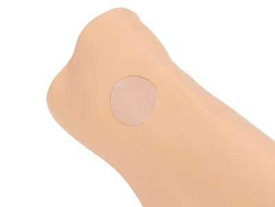 Louis Leg Intraosseous Task Trainer