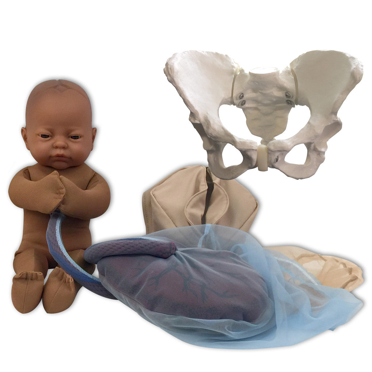 Childbirth Model Set : Pelvis, Foetal doll, Perineum, and Placenta