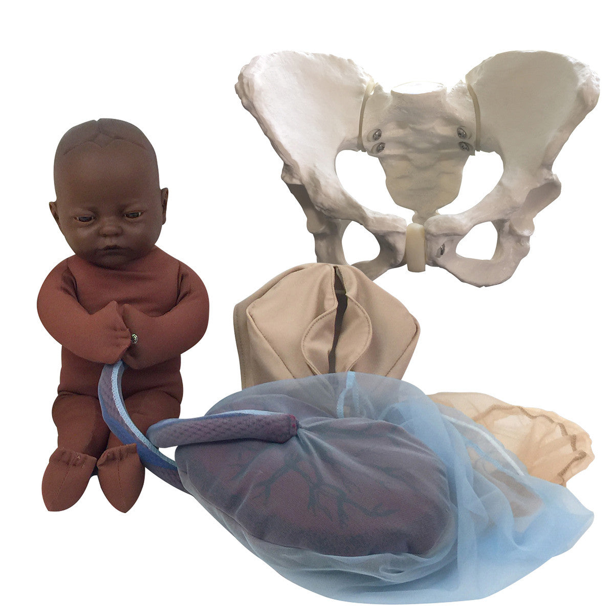 Childbirth Model Set : Pelvis, Foetal doll, Perineum, and Placenta