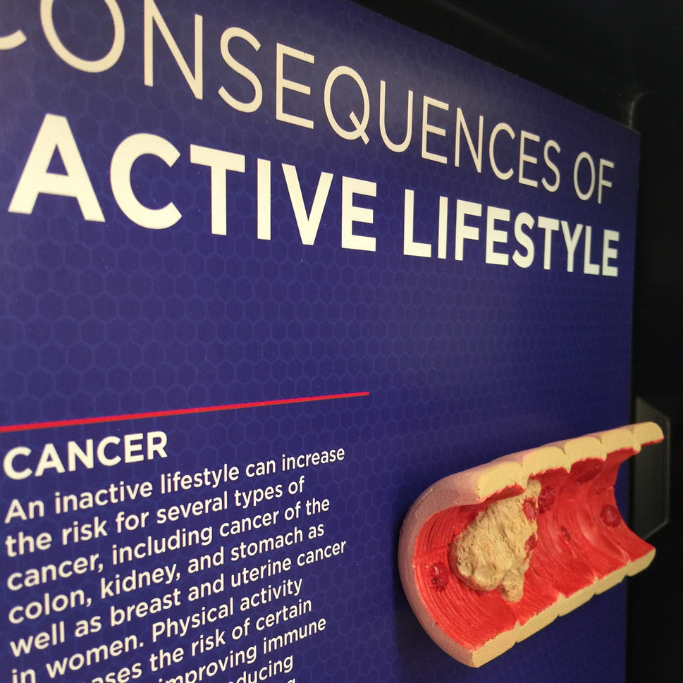 The Consequences Of An Inactive Lifestyle 3D Display