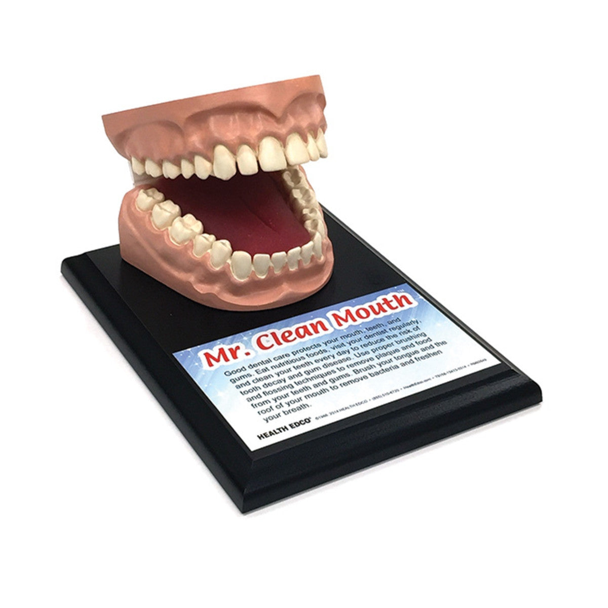 Mr. Clean Mouth Display