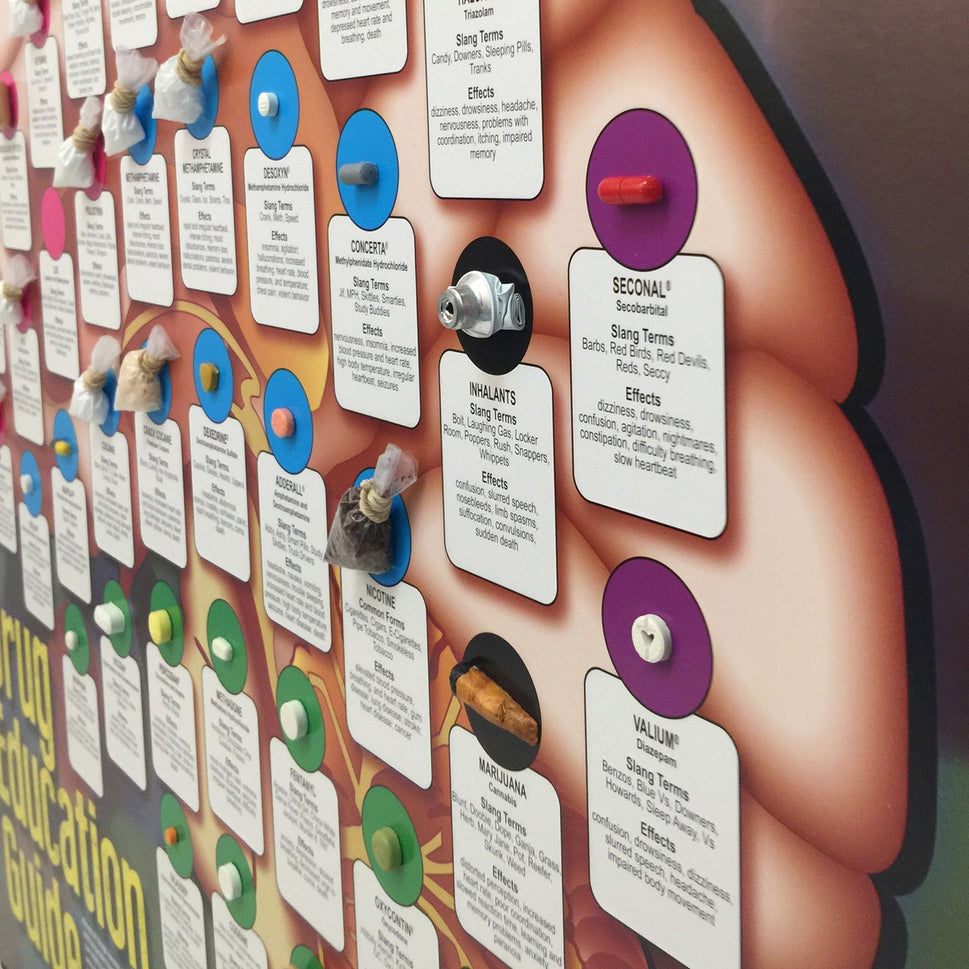 Drug Education Guide Display