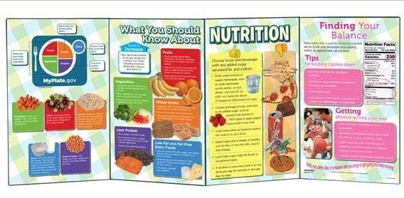 What You Should Know About Nutrition Folding Display