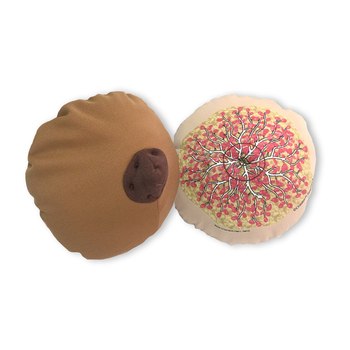 Cloth Breast Model Brown