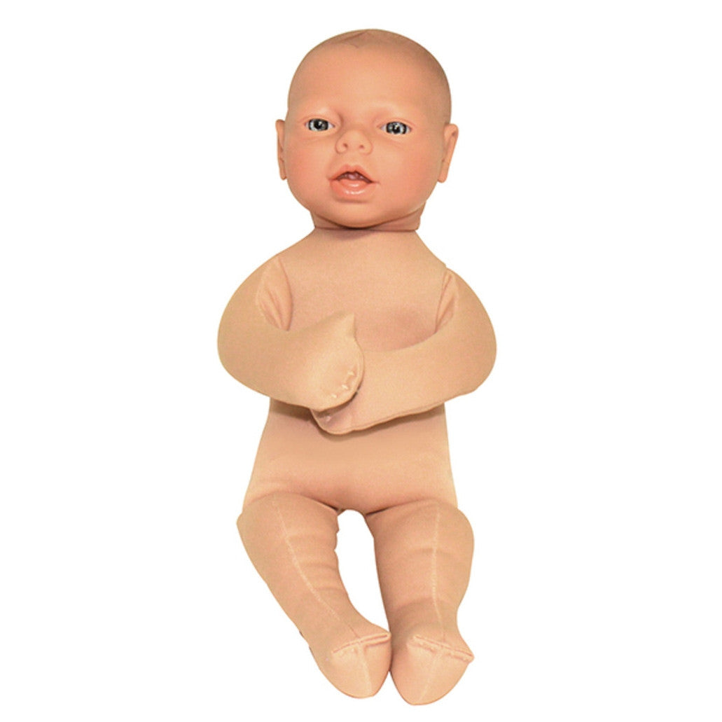 Foetal Doll Model