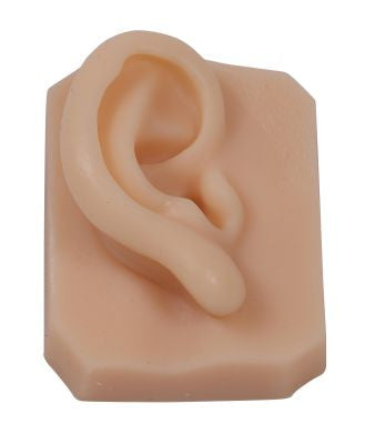 Facial Suturing Trainer (6 part)