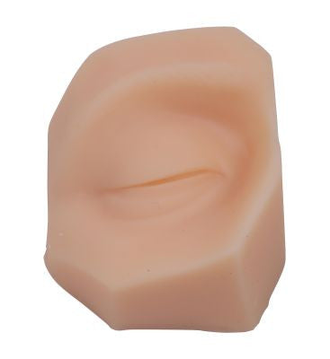 Facial Suturing Trainer (6 part)