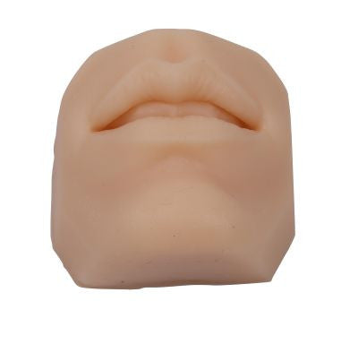 Facial Suturing Trainer (6 part)