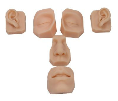 Facial Suturing Trainer (6 part)