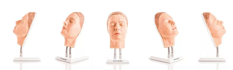 Model Head for Facial Injection Training