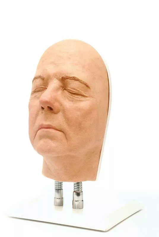 Model Head for Facial Injection Training