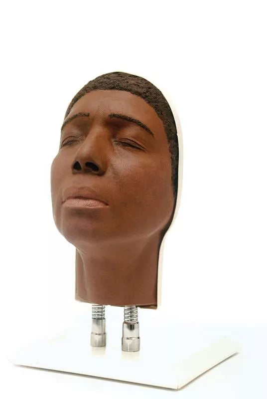 Model Head for Facial Injection Training