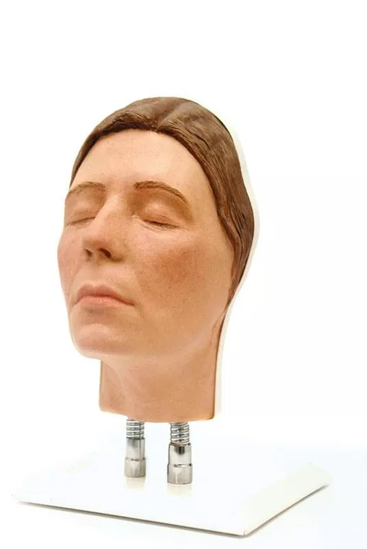 Model Head for Facial Injection Training
