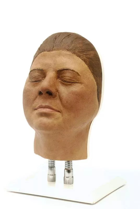 Model Head for Facial Injection Training