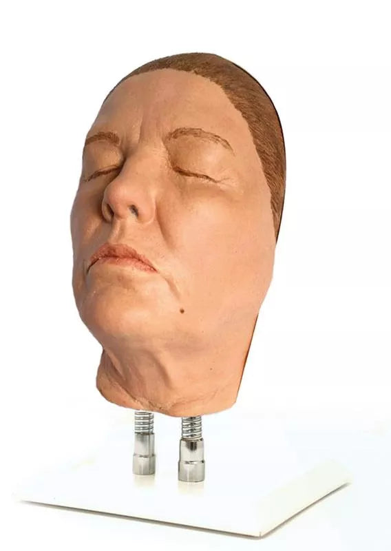 Model Head for Facial Injection Training