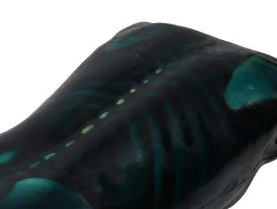 "Echo Eddie" Advanced Ultrasound & FAST Simulator