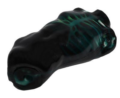 "Echo Eddie" Advanced Ultrasound & FAST Simulator