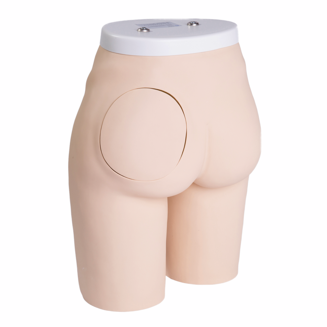 Buttock Injection Model (With Muscles)