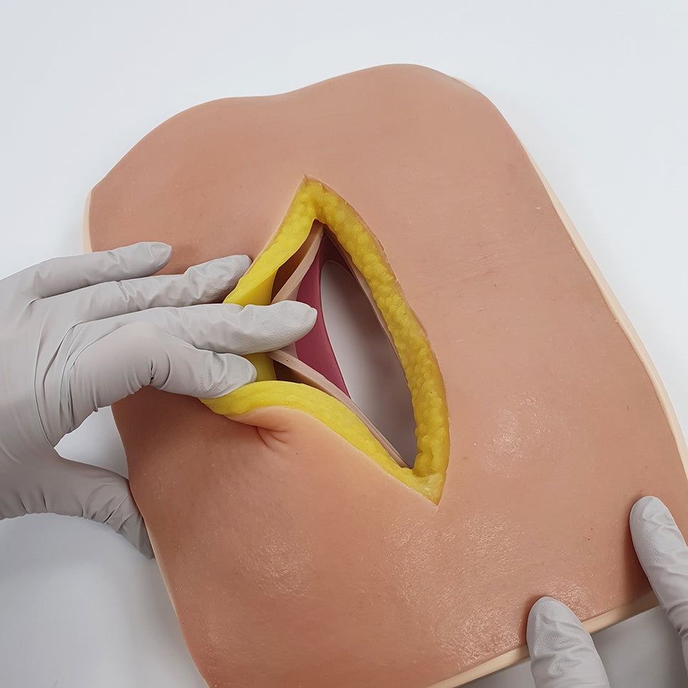 Abdominal Fascia Suture Trainer