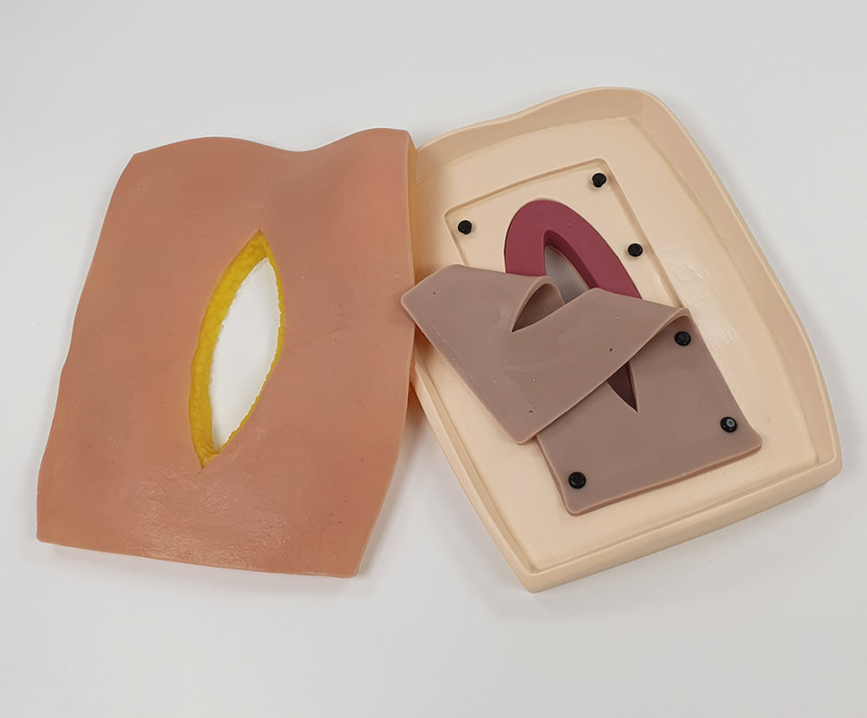 Abdominal Fascia Suture Trainer