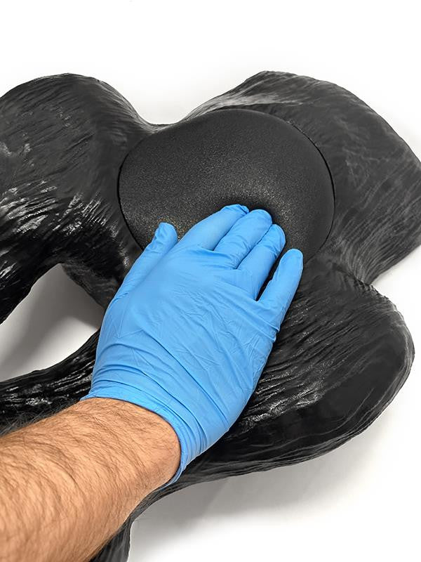 Canine Bladder Ultrasound Simulator