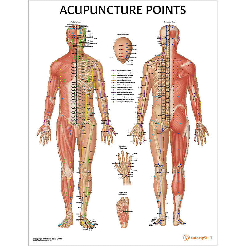 Acupuncture Collection