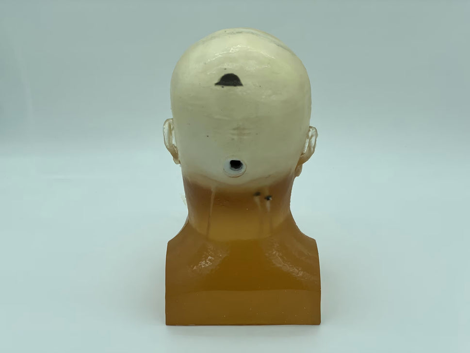 Adult Head Phantom (Standard) for X-Ray CT, US, MRI