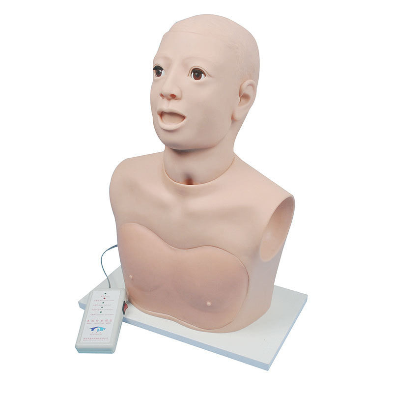 Advance Nasal Cavity Examination Model