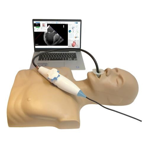 MrTEEmothy Transoesophageal Echocardiography Simulator