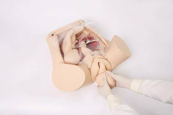 Childbirth Simulator with Transparent Overlay