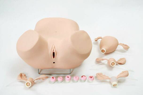 Advanced Gynaecologic Simulator