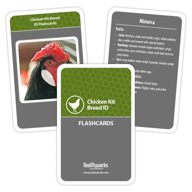 Agriculture Animal Education Kit - Chicken