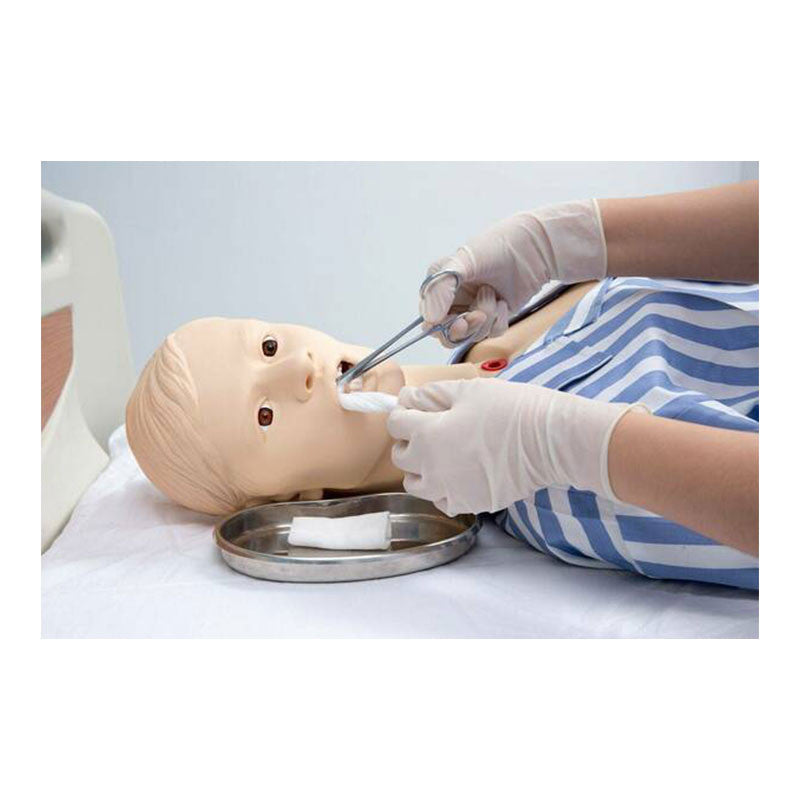 All-Purpose Patient Care Simulator