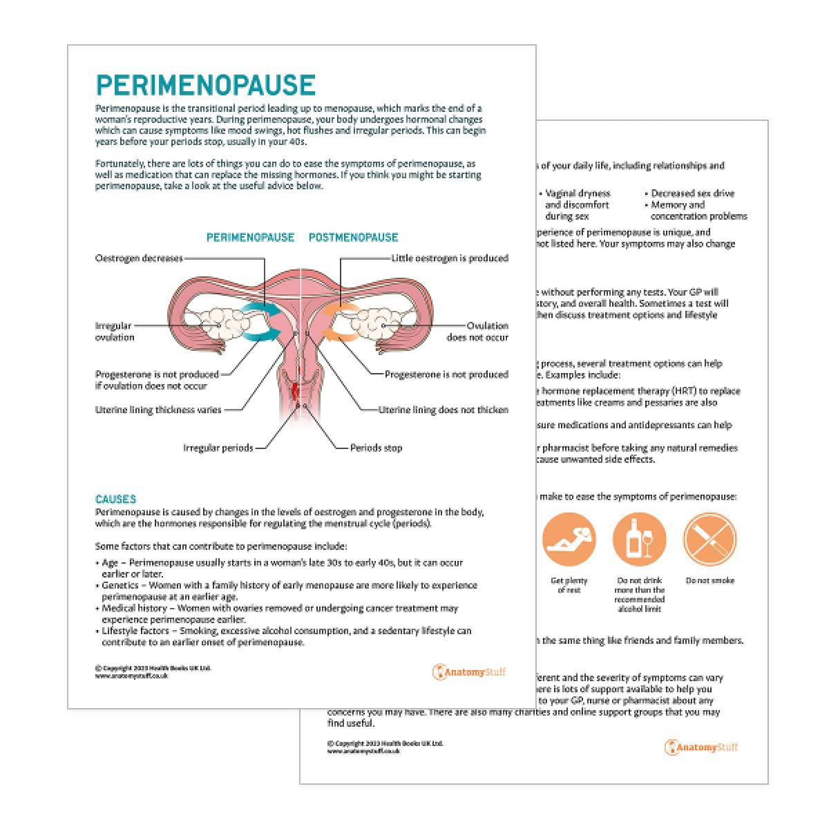 Perimenopause Patient Education Handout (Printable PDF)