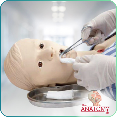 Anatomy Lab
