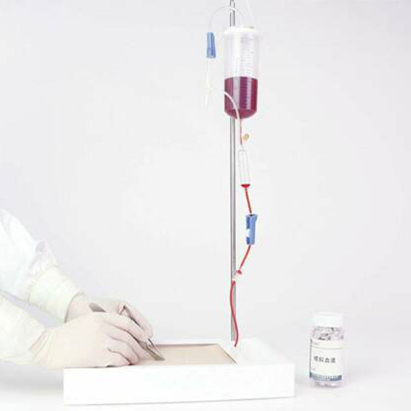 Angiodiastasis Ligation Model