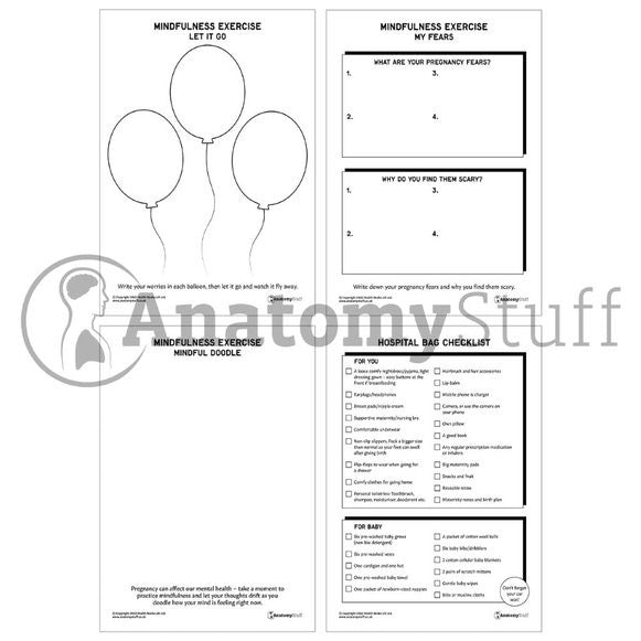Antenatal Support Pack (Printable PDFs)